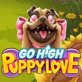 Go High Puppy Love – slot by RubyPlay, featured at stakecasinoo.eu